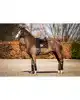 SHOWTIME CROWN DRESSUUR ZADELDEK ZWART FULL