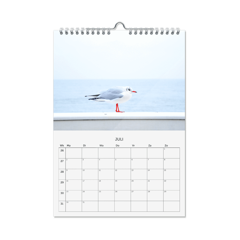 CADEAUSHOP FOTOKALENDER, 395 ALL-IN PUNTEN