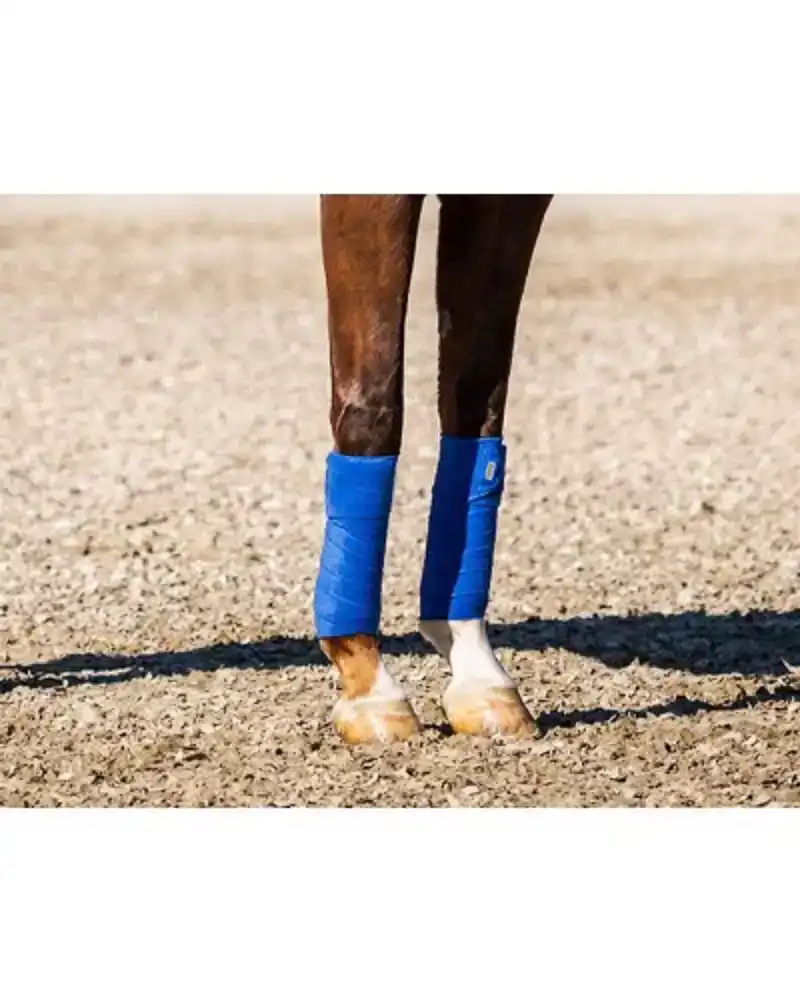 SHOWTIME CROWN BANDAGE SET 4 STUKS ROYAL BLUE
