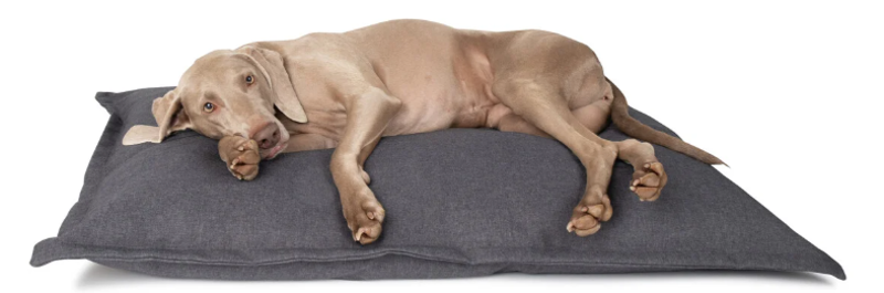 DISTRICT 70 CLASSIC PILLOW - SHARK GREY