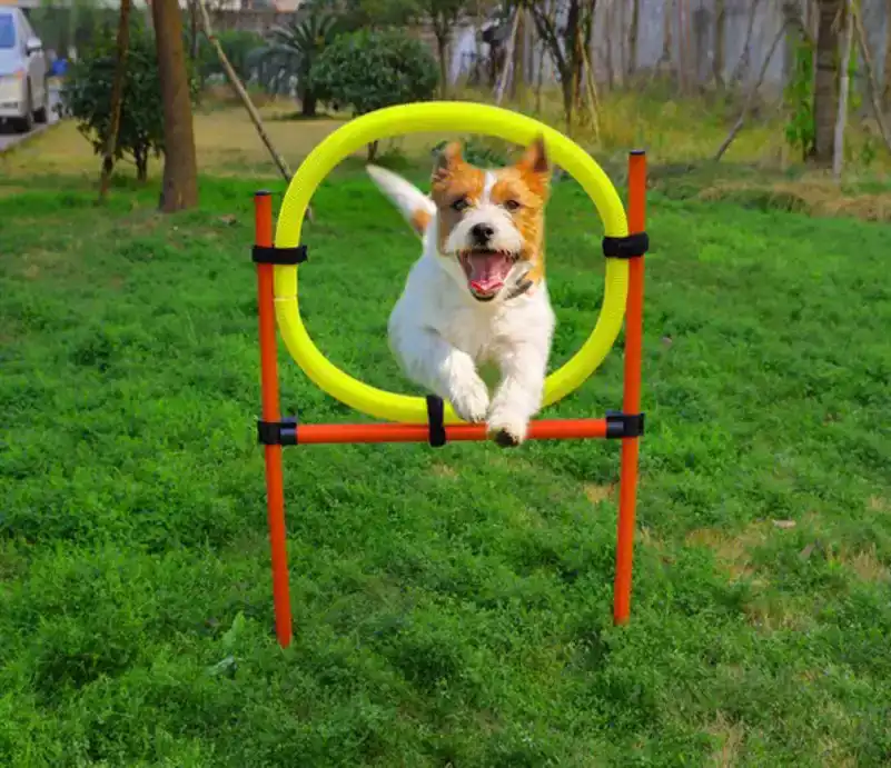AGILITY-SET 12-DELIG