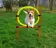 AGILITY-SET 12-DELIG