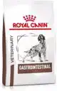 ROYAL CANIN GASTROINTESTINAL HOND 2KG