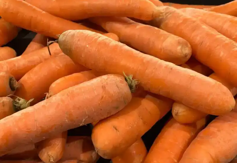 GESCHOONDE VOEDERWORTELS