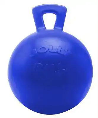 JOLLY BALL BLAUW 25CM