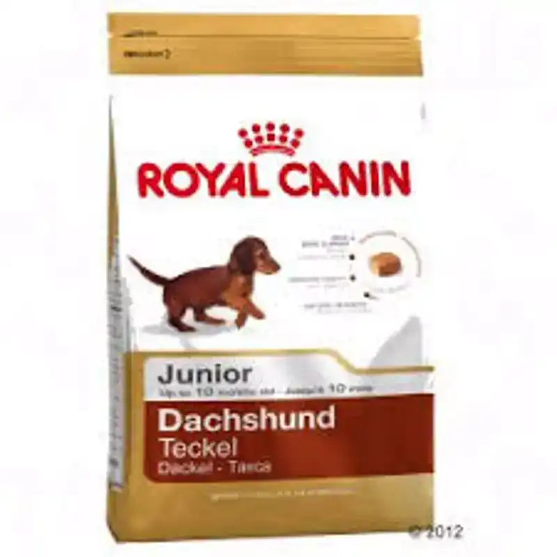 RC BHN DACHSHUND JUNIOR 1,5KG