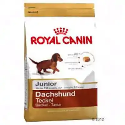 RC BHN DACHSHUND JUNIOR 1,5KG