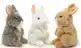 CADEAUSHOP PLUCHE ANGORA KONIJN ZITTEND,  650 ALL IN PUNTEN