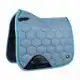 CADEAUSHOP ZADELDEK BRILLIANCE DRESSUUR, 2250 ALL-IN PUNTEN