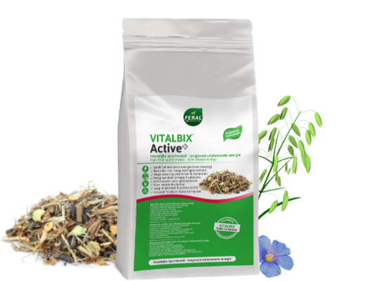 VITALBIX ACTIVE+ 22 KG