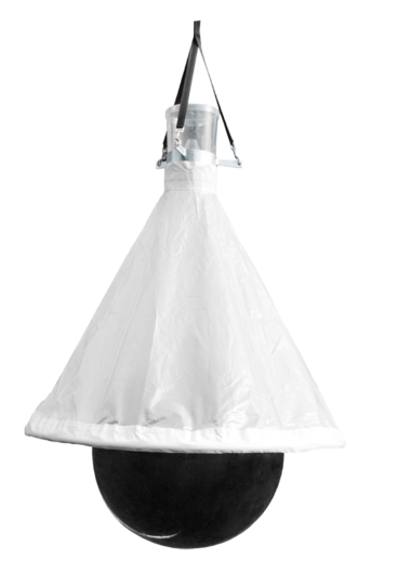 DAZENVAL TAONX MINI 100M2