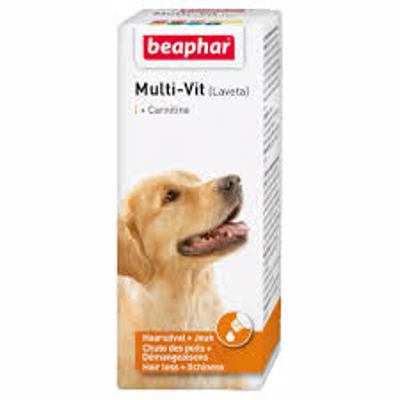 MULTI VIT HOND CARNITINE 50ML