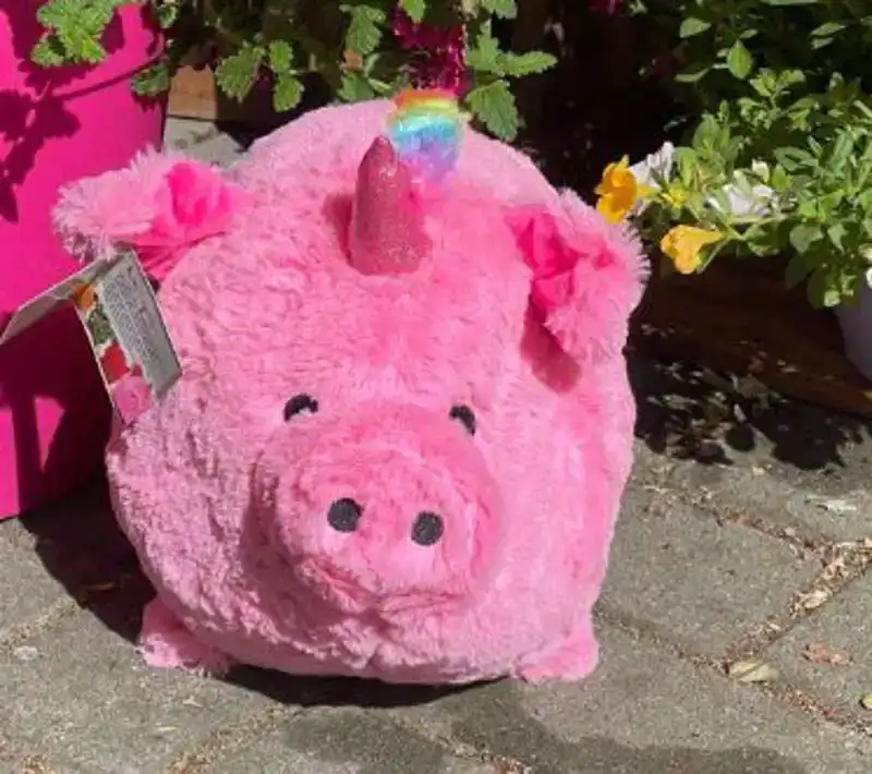 CADEAUSHOP UNIQUE PIGGY (ROSE), 550 ALL-IN PUNTEN
