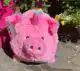 CADEAUSHOP UNIQUE PIGGY (ROSE), 550 ALL-IN PUNTEN