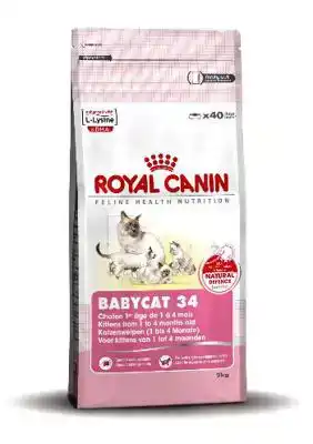 RC FHN MOTHER & BABYCAT 2KG