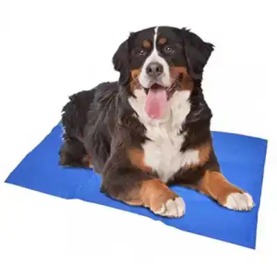 DUVO+ KOELMAT BLAUW XXL