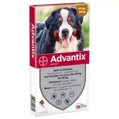ADVANTIX 600 4 PIPETTEN 40-60 KG