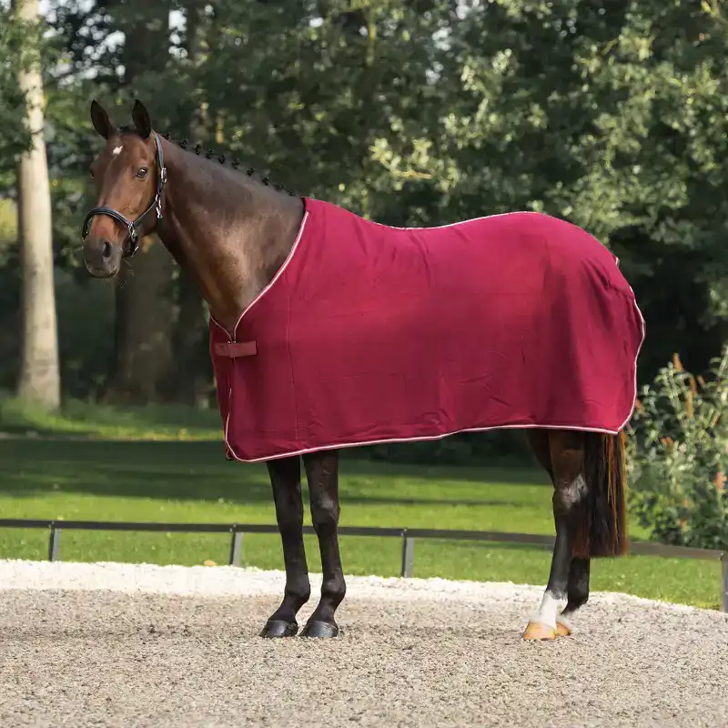 HORKA ECONOMY FLEECE COOLER 155/205 BORDEAUX
