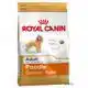 RC BHN POODLE ADULT 7,5KG