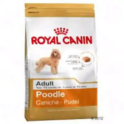 RC BHN POODLE ADULT 7,5KG