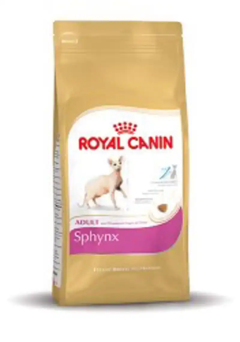 RC FBN SPHYNX 33 500GR