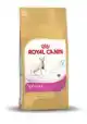 RC FBN SPHYNX 33 500GR