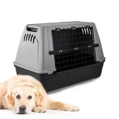 TRANSPORTBOX AUTO BARON 100