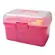 RED HORSE GROOMING BOX HOT PINK
