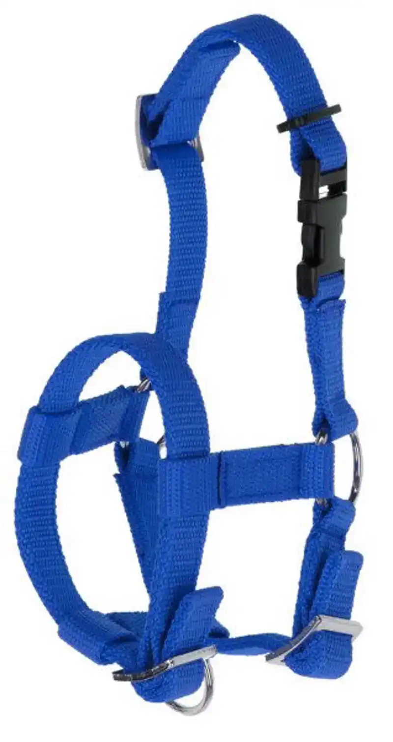 ALPACA HALSTER BLAUW