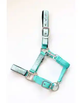 HALSTER REFLECTED MINTGROEN COB