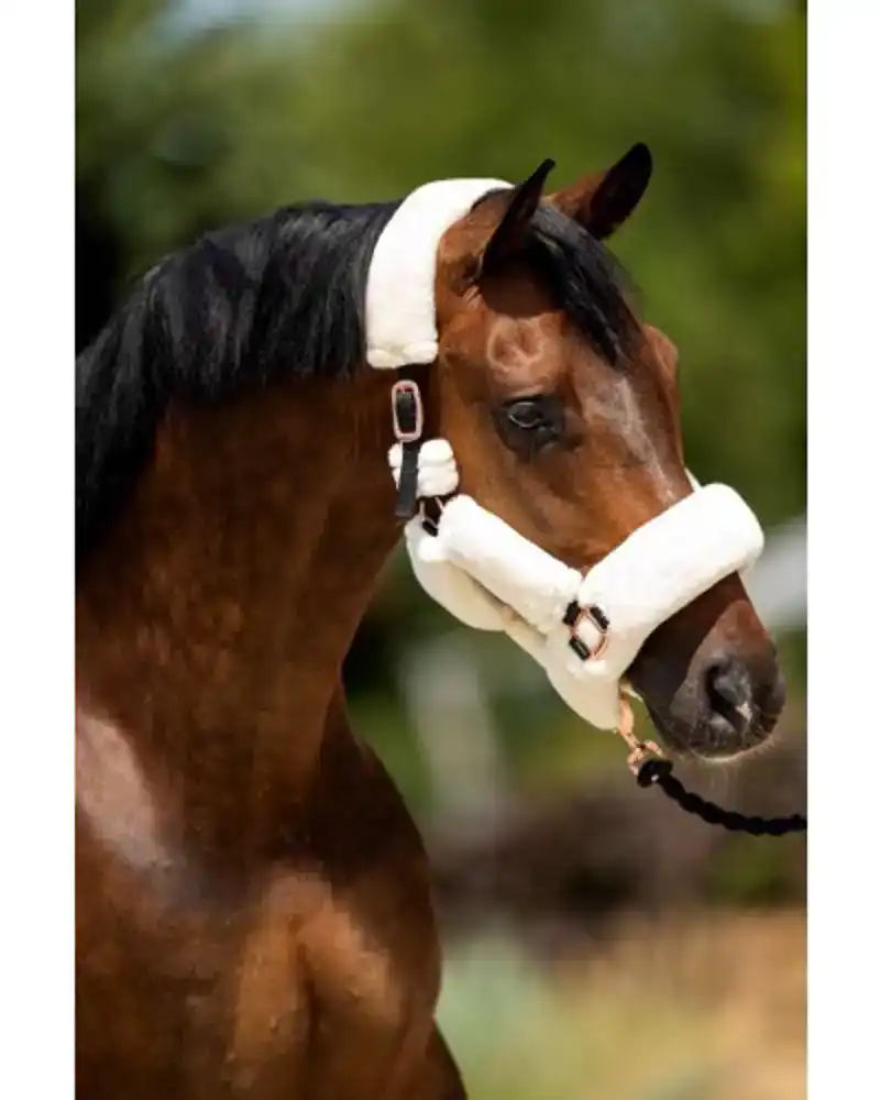 SHOWTIME HALSTER FLUFFY CREME PONY