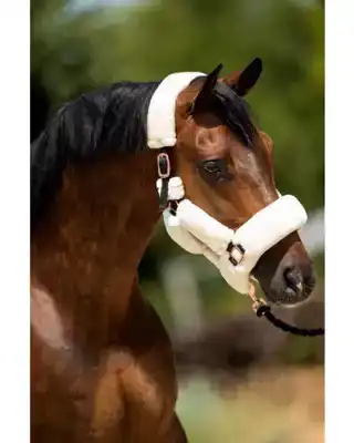 SHOWTIME HALSTER FLUFFY CREME PONY