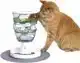 CAT IT CA DESIGN SENSES VOEDERLABYRINT 27X24,2X24CM I3 O12 P