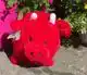 CADEAUSHOP  PIGGY PEPPER (ROOD), 550 ALL-IN PUNTEN