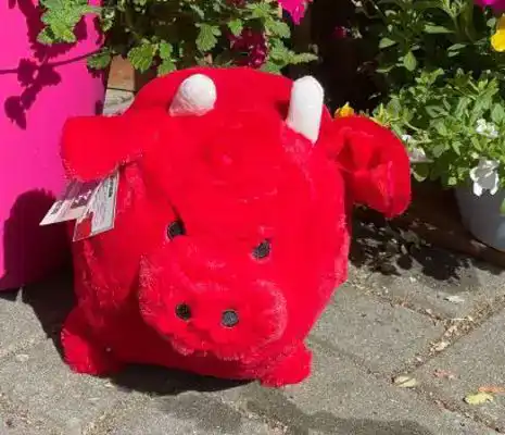CADEAUSHOP PIGGY PEPPER (ROOD), 550 ALL-IN PUNTEN