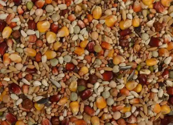 DUIVENVOER UNIESTAR SUPERVLIEG MC 20KG