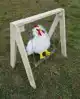 CHICKEN SWING