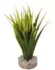 KP OASIS 20 CM ASS 349665