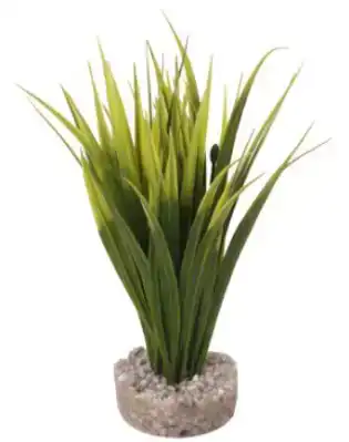 KP OASIS 20 CM ASS 349665