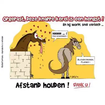 STALPLAAT HENGST