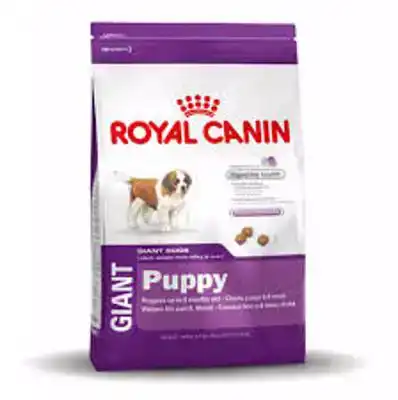 RC SHN GIANT PUPPY 4KG