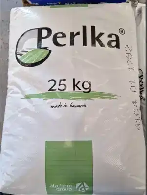 PERLKA MESTKORREL