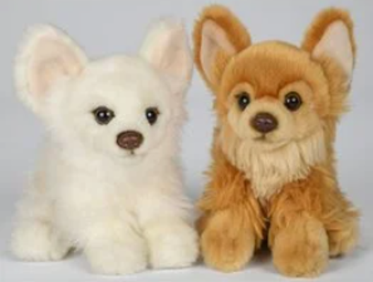 CADEAUSHOP PLUCHE KNUFFEL CHIHUAHUA, 650 ALL IN PUNTEN