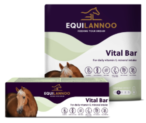 EQUILANNOO VITAL BAR 4,5KG
