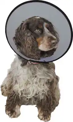 SMART COLLAR NR. 3 (31-40CM) HONDENKRAAG