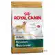 RC BHN GOLDEN RETRIEVER AD 3KG