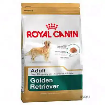 RC BHN GOLDEN RETRIEVER AD 3KG