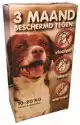 COMBIBOX ANTI-VLO, TEEK EN WORM 10-20KG HOND