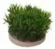 SYDECO SYDECO GREEN MOSS 7CM