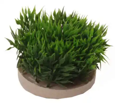 SYDECO SYDECO GREEN MOSS 7CM
